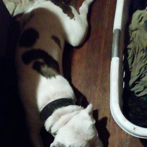 Meet your Posher, Jesse